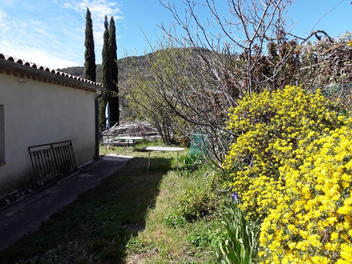 Maison De Campagne L'Etang Seillans Cameră foto
